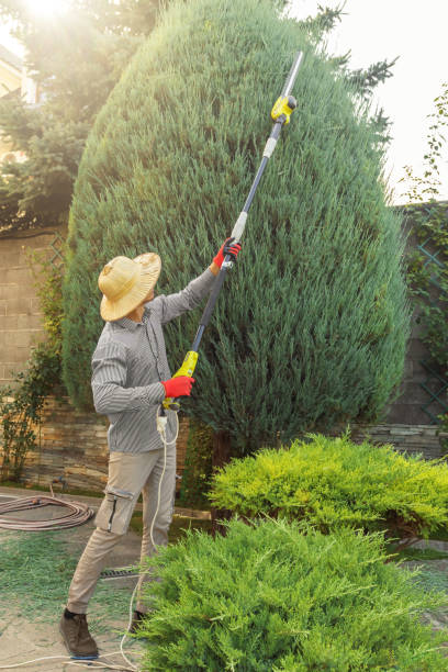  Matteson, IL Tree Removal and Landscaping Services Pros